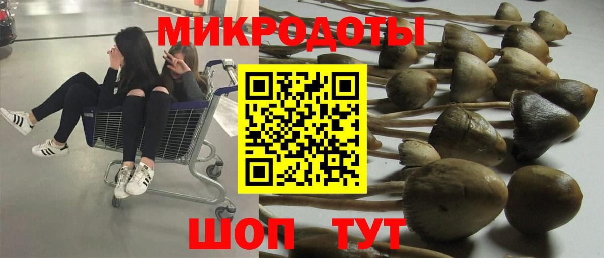 Псилоцибиновые грибы Cubensis  Галлюциногенные грибы ЛСД  Вход с VPN  купить закладку  Пыть-Ях 